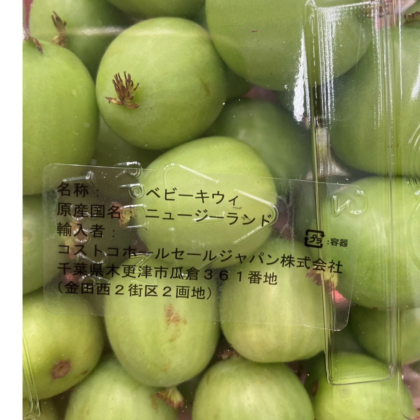 【冷蔵商品】《季節限定》ベビーキウイ 450g ニュージーランド産