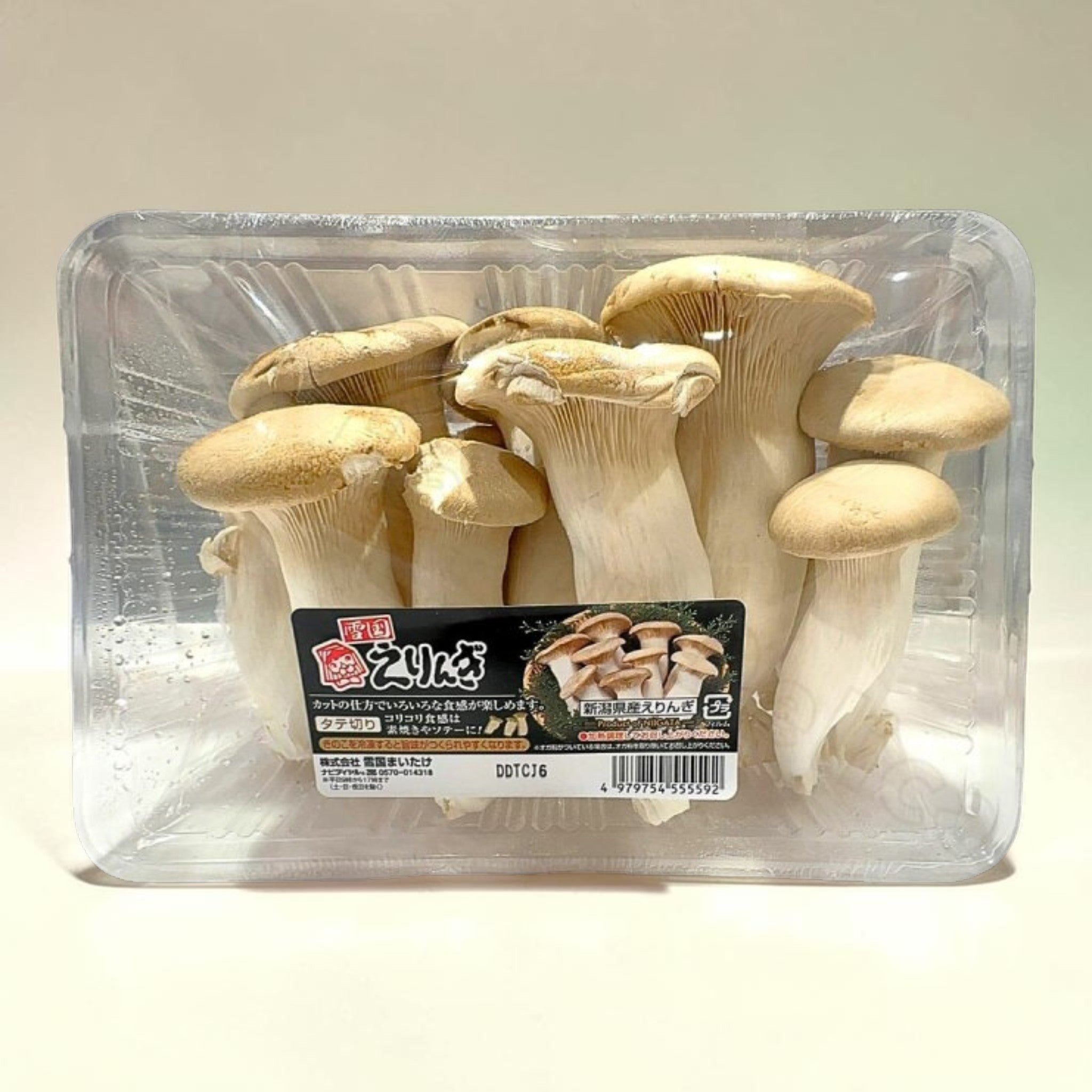 冷蔵商品】雪国 えりんぎ 500g 新潟県産 雪国まいたけ – コストコ 商品