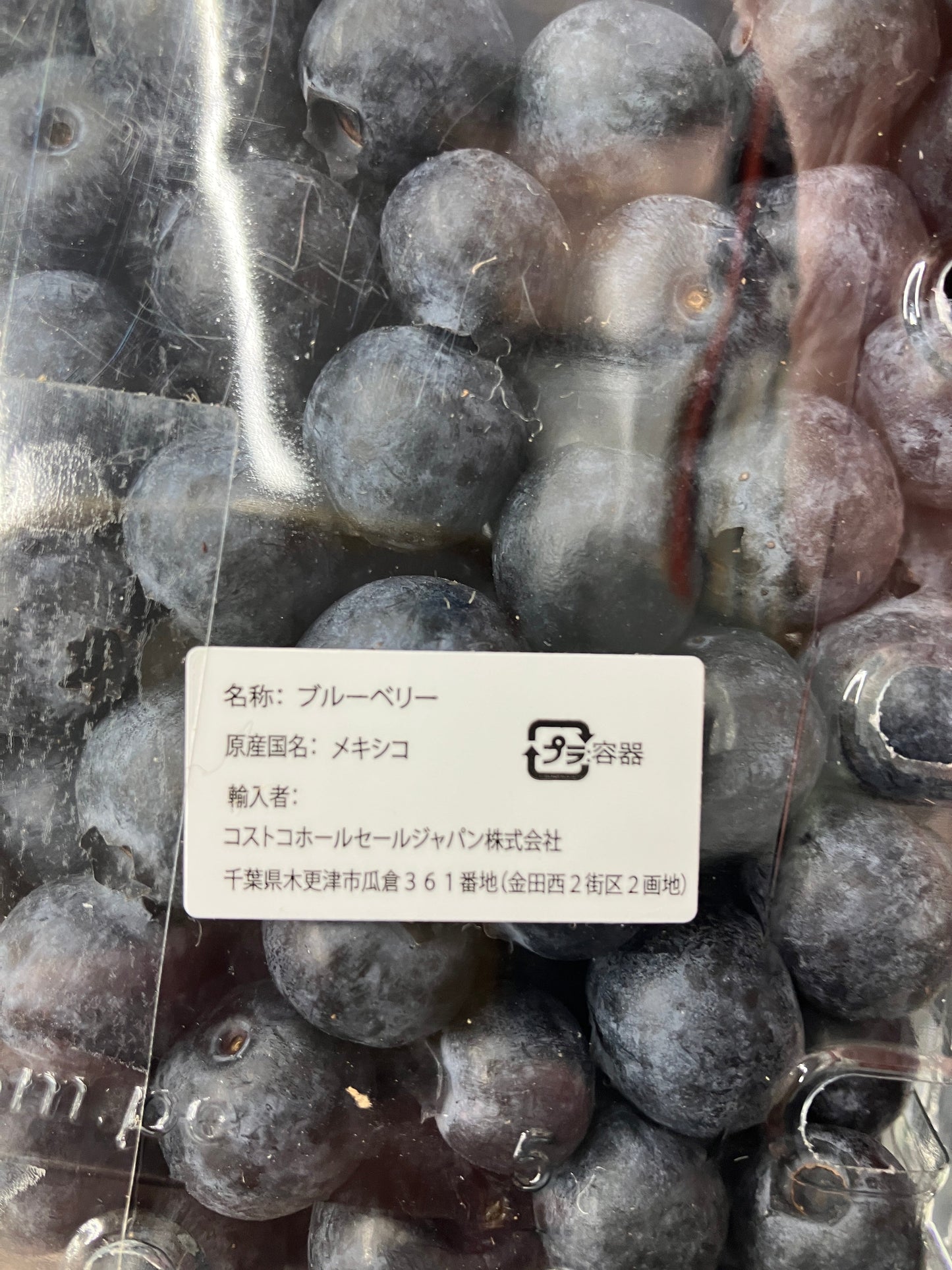 【果物】ブルーベリー 510g パック 大容量