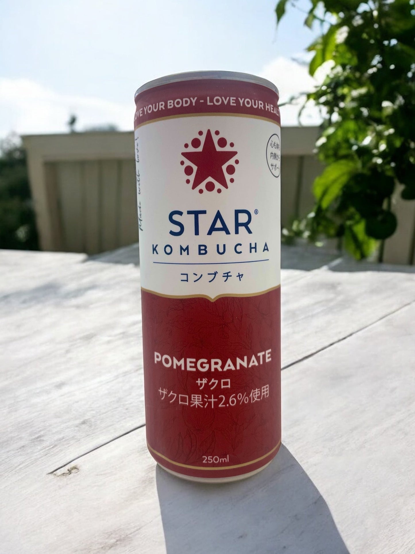 スター コンブチャ ザクロ味 250ml 発酵飲料缶