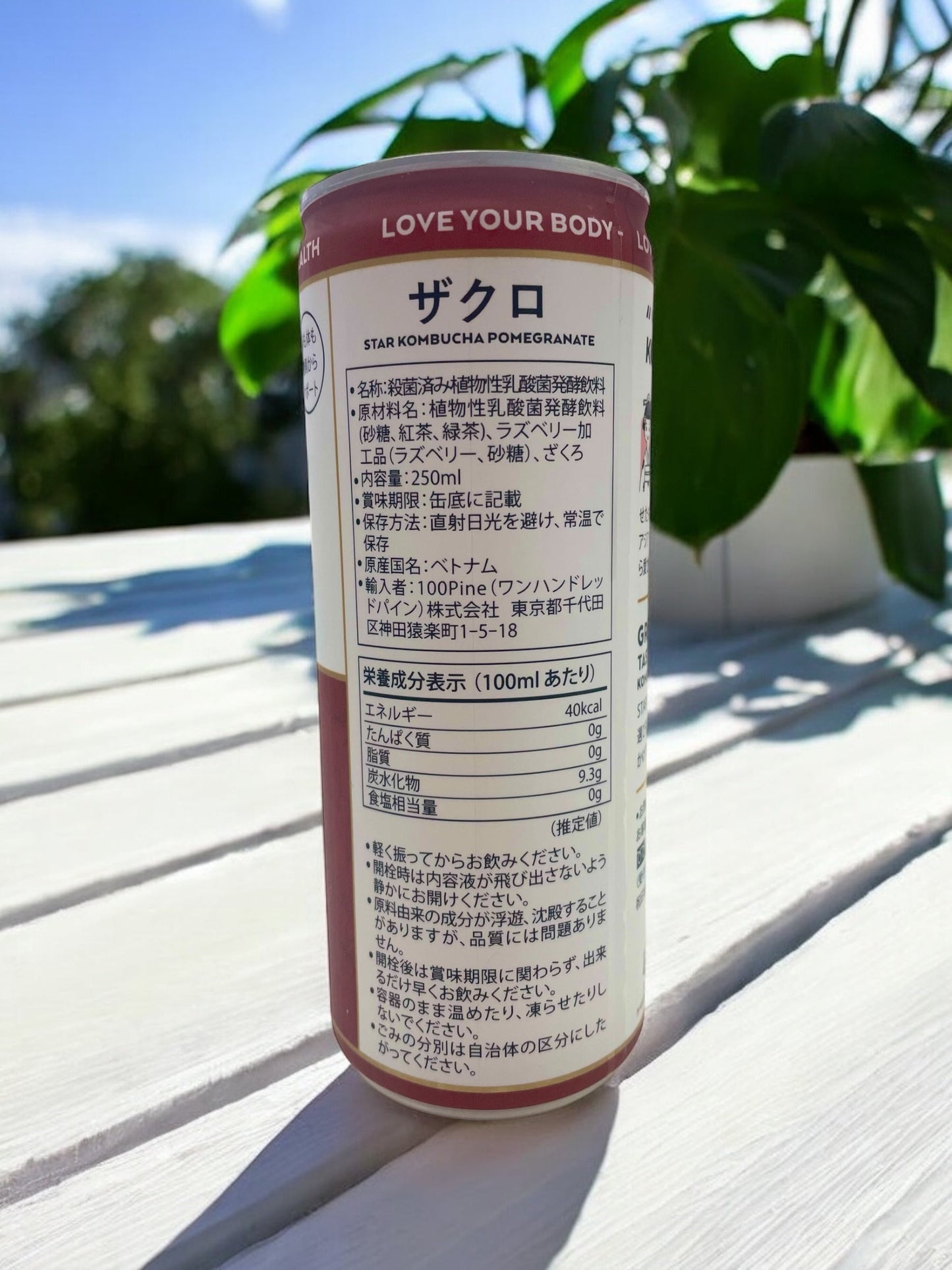 スター コンブチャ ザクロ 味 250 ml / Star 【売れています】