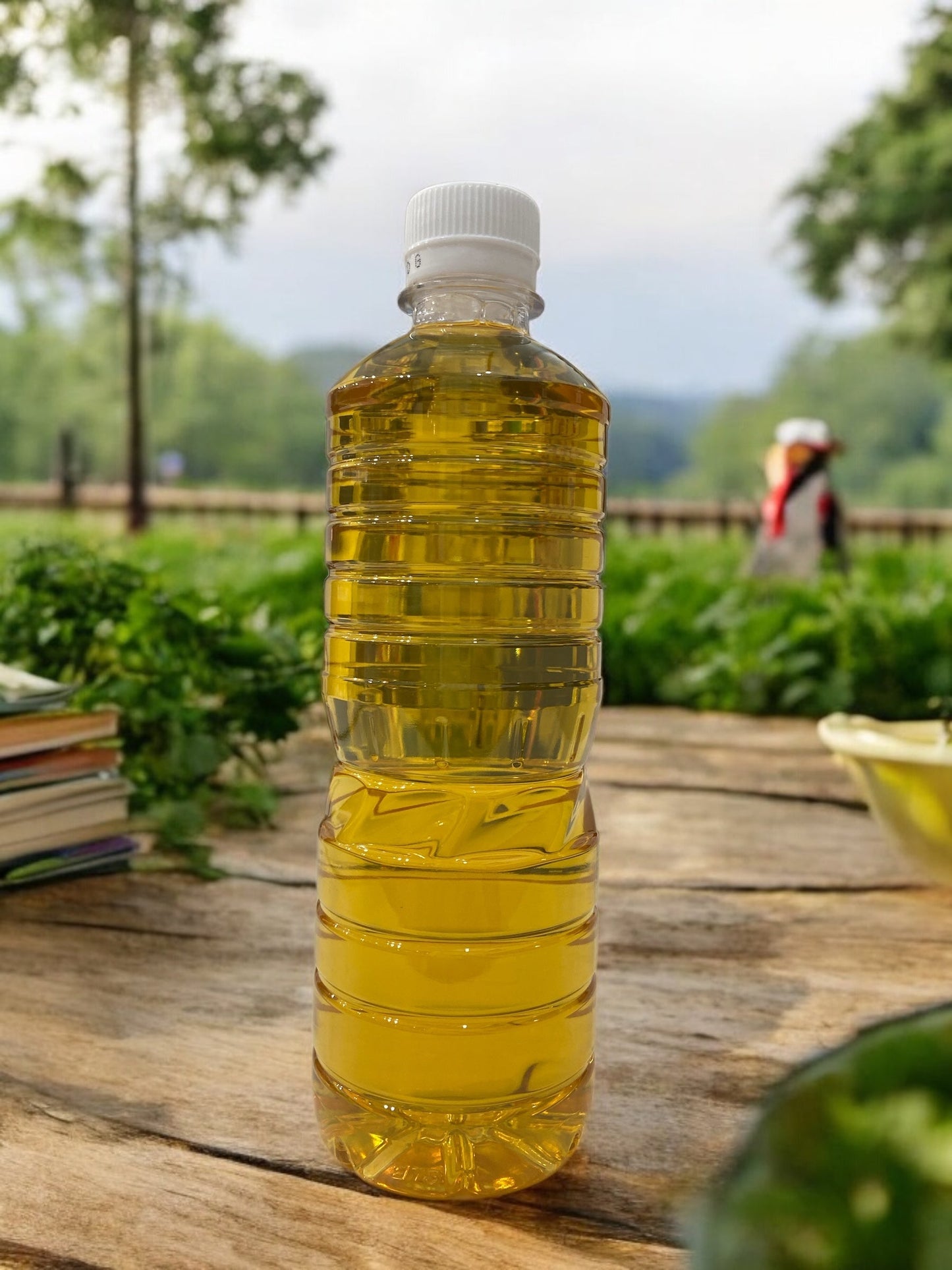 Label-free 500ml bottle of お茶屋さんの緑茶 from LDC, set of 24.