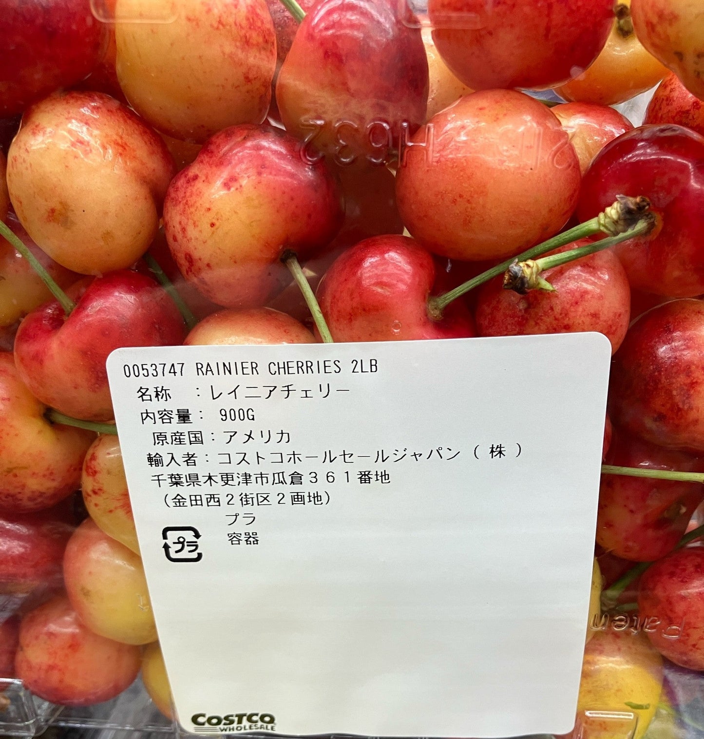 【果物 冷蔵商品】《期間限定》レイニアチェリー 900g 幻のさくらんぼ RAINIER CHERRIES 2026年