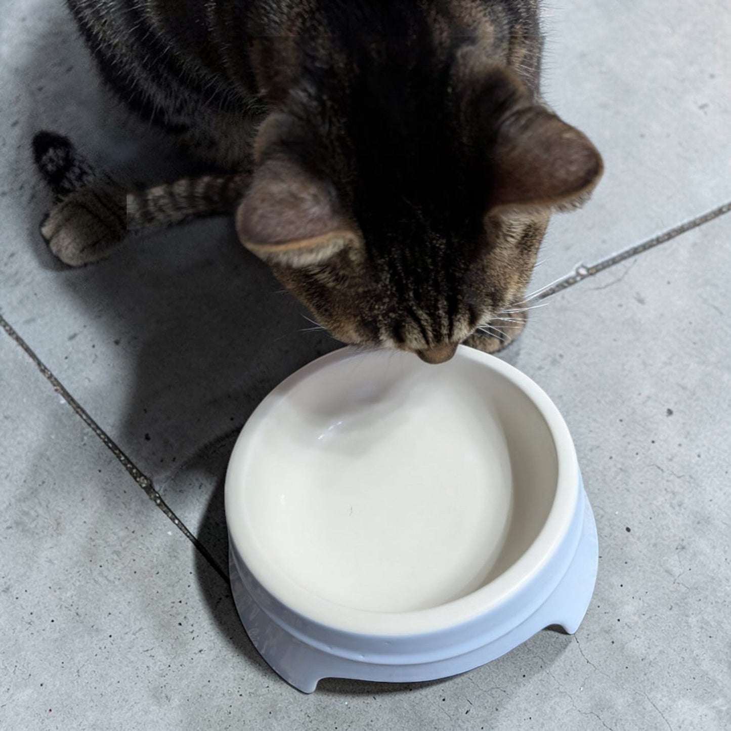 《ペット用品》ストウブ  ペットボウル  ライトブルー  400ml  直径21cm