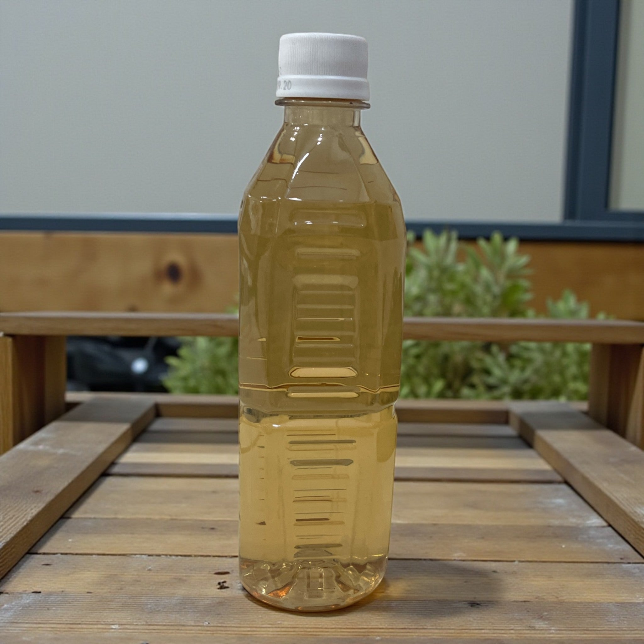 LDC コーン茶 500ml×24本 ラベルレス CORN TEA とうもろこし茶