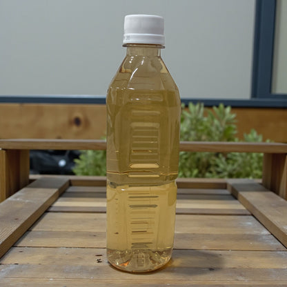 LDC コーン茶　500ml  ラベルレス  CORN TEA　とうもろこし茶　トウモロコシ茶