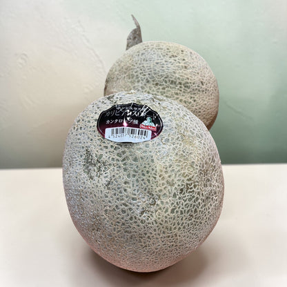 《果物》カンタロープ  メロン  赤玉  1玉