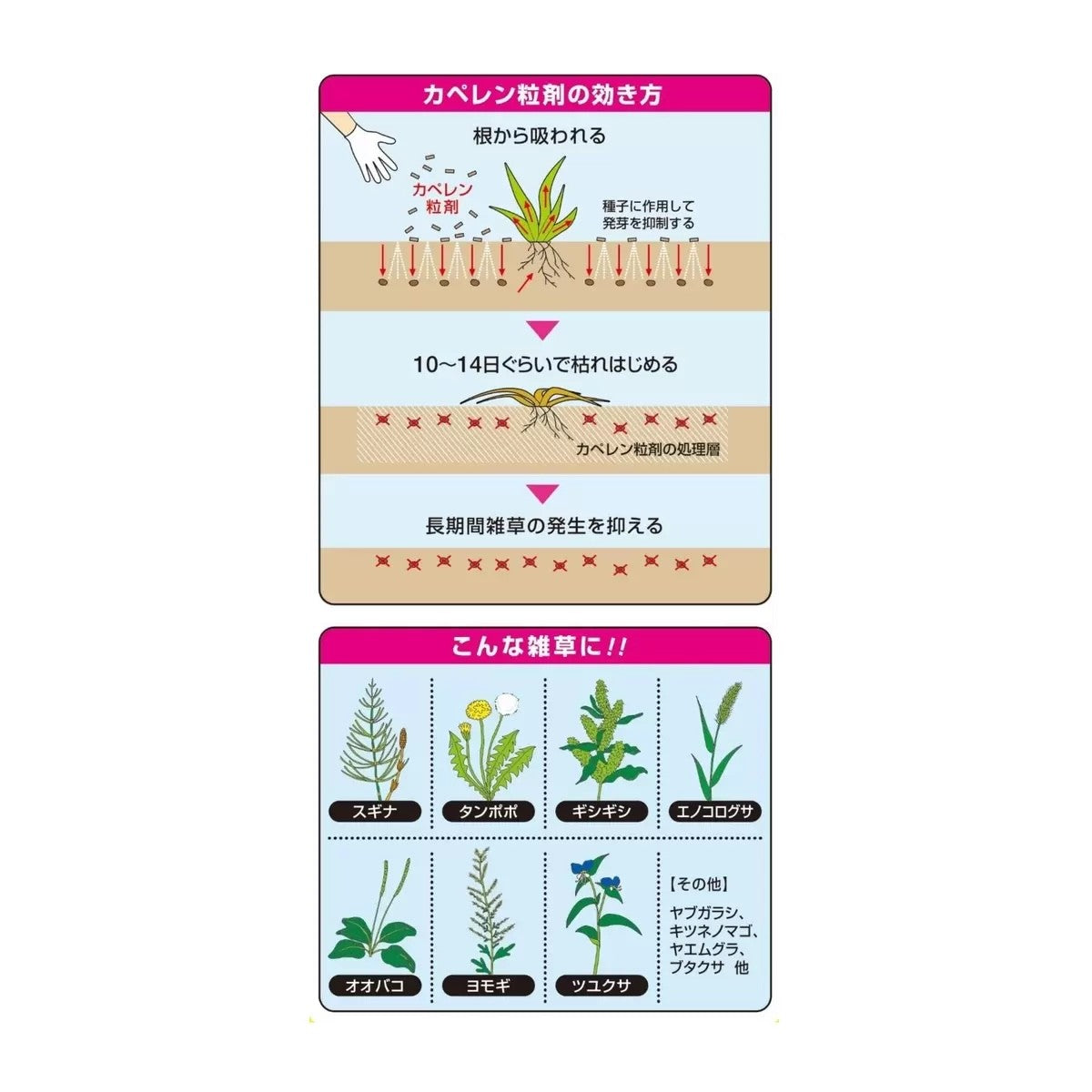 ハイポネックス カペレン粒剤 除草剤 4kg HYPONeX