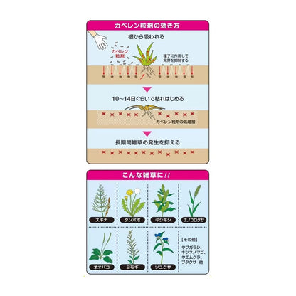 ハイポネックス カペレン粒剤 除草剤 4kg HYPONeX