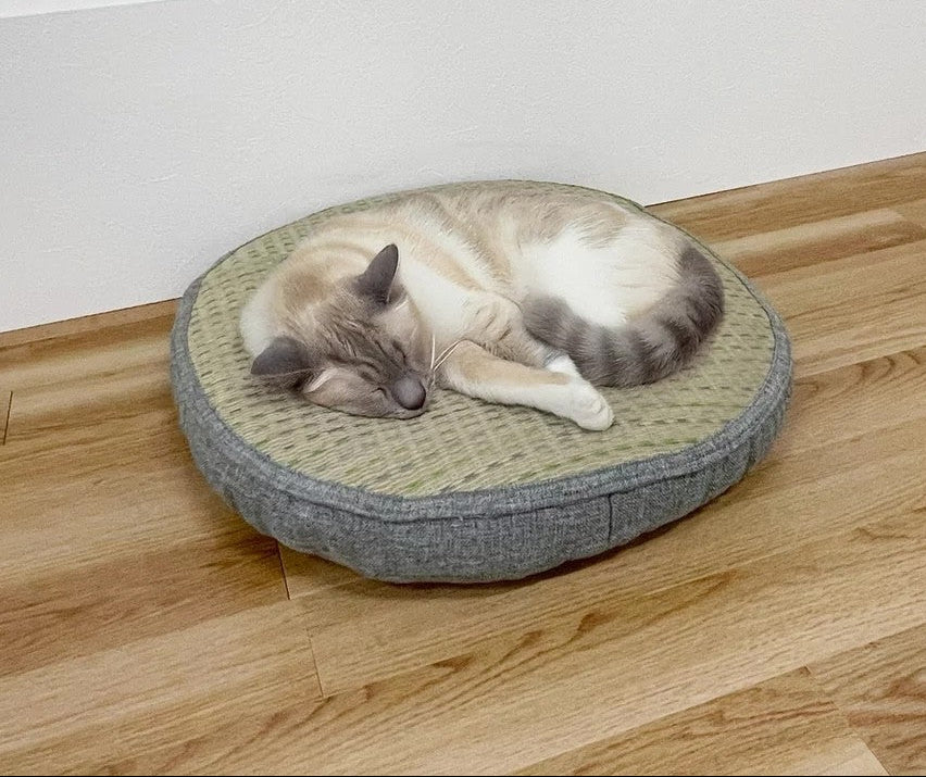 《ペット用品》い草素材 猫用ベッド  猫座 ペットベッド