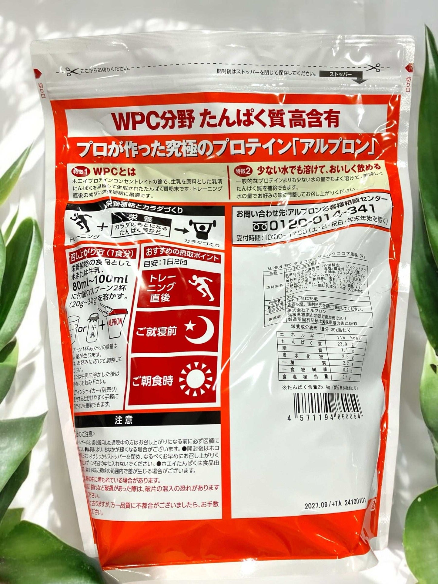 アルプロン ホエイ プロテイン WPC  チョコチップ　ミルクココア  3000g   ALPRON