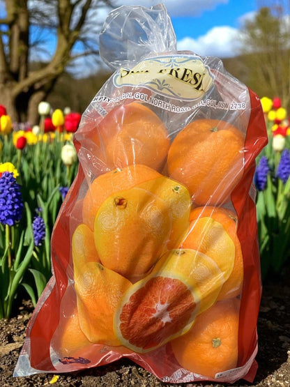 【果物】カラカラオレンジ 2.27kg