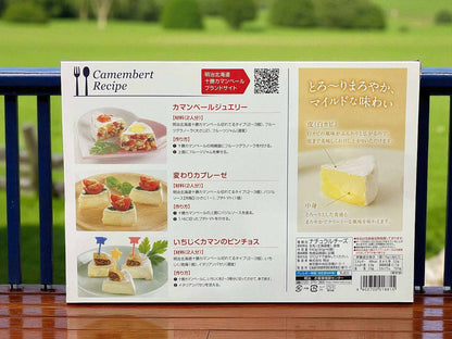 北海道十勝カマンベールチーズの切れてるタイプ6ピース6箱セットのパッケージ裏面写真