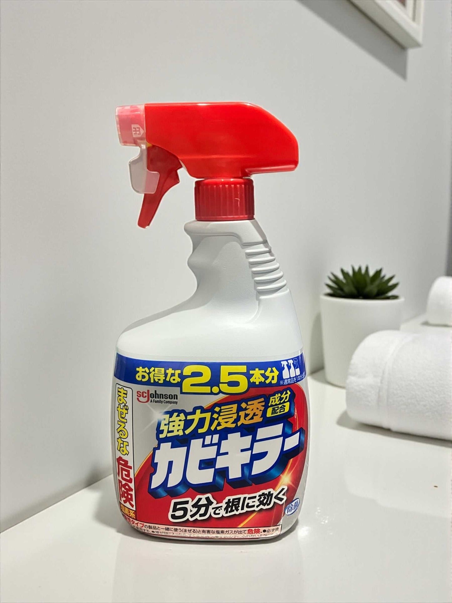 カビキラー 本体1000g  特大サイズ  大容量でお得  強力浸透成分配合