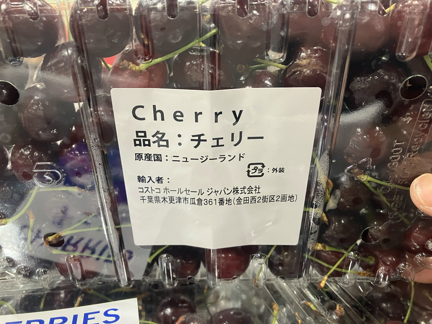 《果物》《期間限定》チェリー 900g  ニュージーランド産